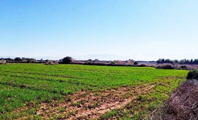 terrain agricole casablanca maroc