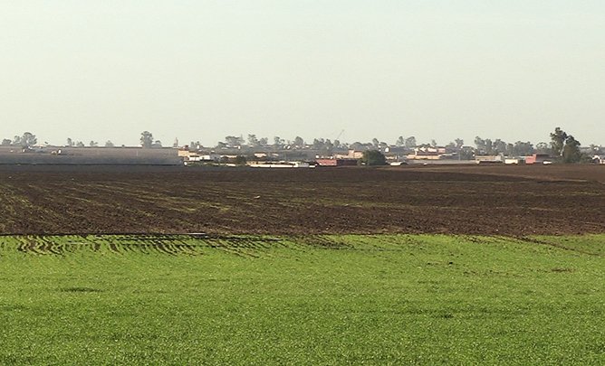 terrain agricole casablanca maroc