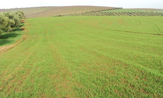 terrain agricole casablanca maroc